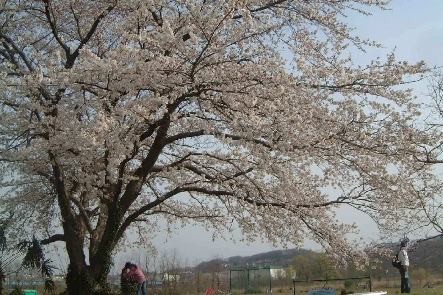 Ogami Park (Photo: Image by 管理人)