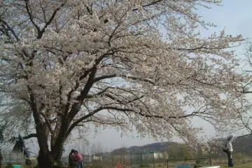 Ogami Park