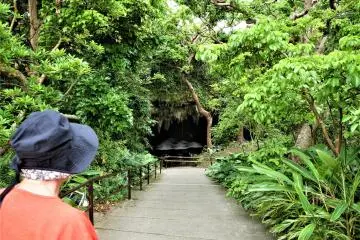 Behold! The cave appears (Photo: Stephen Yates / JT)