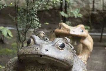 The shrine was guarded my statues of toads. Their importance I am not completely sure of though they also appear in Ukiyo-e prints that depict Masakado's daughter, Takayisha-hime