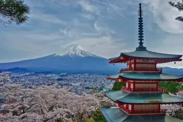 A springtime scene at Chureito Pagoda