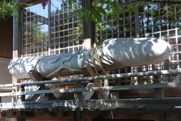 The giant wooden phallus at Taga Shrine