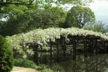 Tenshaen Garden