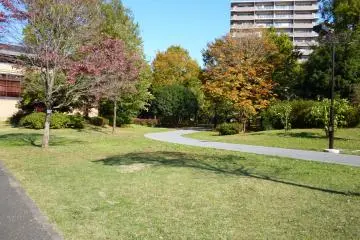 Higashiyamato Park (edited)