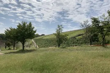 Higashiyamato City - Parks & Gardens