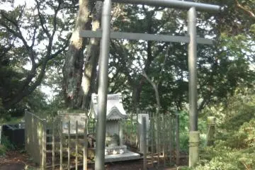 <p>ศาลเจ้าบนภูเขา</p>