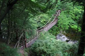 Kazurabashi Bridge is made of vines and reinforced by steel cables  (Photo: <a href="https://commons.wikimedia.org/wiki/File:Tokushima_Miyoshi_Okuiya_Double_Kazurabashi_1.JPG" target="_blank" rel="noreferrer noopener nofollow">京浜にけ</a> / <a href="https://creativecommons.org/licenses/by-sa/3.0/deed.en" target="_blank" rel="noreferrer noopener nofollow">CC BY-SA 3.0</a>)