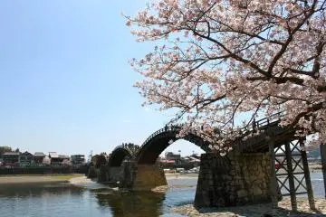 Kintaikyo is beautiful, but so are the surrounds! (Photo: <a href="https://www.flickr.com/photos/62003934@N05/8693761599/" target="_blank" rel="noreferrer noopener nofollow">Travis </a> / <a href="https://creativecommons.org/licenses/by/2.0/" target="_blank" rel="noreferrer noopener nofollow">CC BY 2.0</a>)