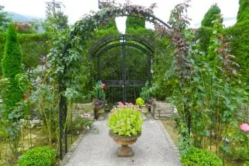 The paved garden.