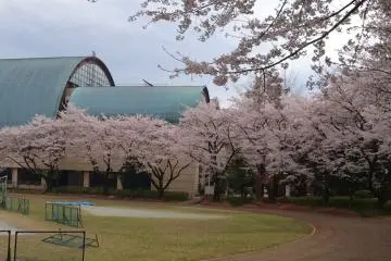 Kodaira Central Park