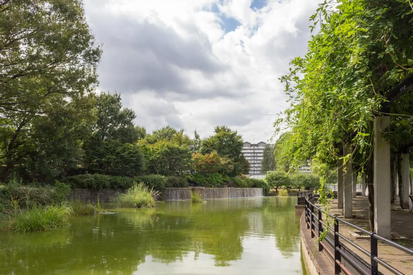 Musashi Kokubunji Park (Photo: Real Estate Japan (Scott Kouchi)  / CC BY 2.0)