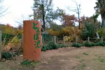 Maehara Park (light adjusted) (Photo: <a href="https://commons.wikimedia.org/wiki/File:%E5%89%8D%E5%8E%9F%E5%85%AC%E5%9C%92_-_panoramio_(14).jpg" target="_blank" rel="noreferrer noopener nofollow">珈琲牛乳 / CC BY 3.0</a>)