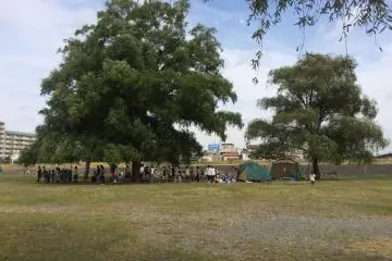 Komaemizube Park (Photo: <a href="https://abarenbocamp.wordpress.com/2014/10/04/%E7%8B%9B%E6%B1%9F%E6%B0%B4%E8%BE%BA%E3%81%AE%E6%A5%BD%E6%A0%A1%E6%A5%BD%E3%81%97%E3%81%9D%E3%81%86%E3%81%A7%E3%81%99%EF%BC%BCo%EF%BC%8F/" target="_blank" rel="noreferrer noopener nofollow">Image by abarenbo-camp</a>)