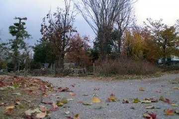Maehara Park (Photo: <a href="https://commons.wikimedia.org/wiki/File:%E5%89%8D%E5%8E%9F%E5%85%AC%E5%9C%92_-_panoramio_(10).jpg" target="_blank" rel="noreferrer noopener nofollow">珈琲牛乳 / CC BY 3.0</a>)