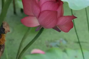 La profondeur des couleurs est impressionnante