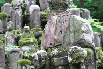 <p>ของรูปสลักที่ปนกับหินแบบนี้มีจำนวนมาก</p>
