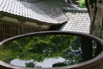 <p>หลังคามุงกระเบื้องและอ่างน้ำ</p>