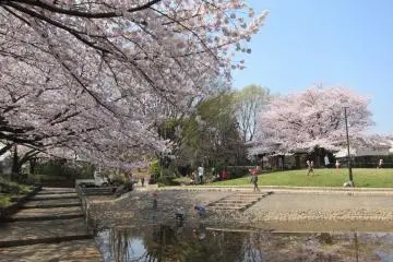 Musashino City - Parks & Gardens