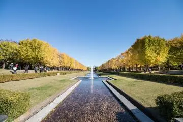 Showa Memorial Park
