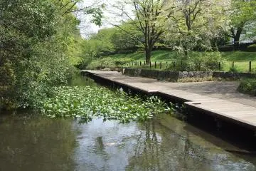 Negawa Greenery Road