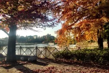 Autumn atmosphere overlooking the lake