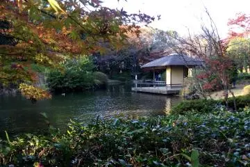 A pavilion in the tea garden