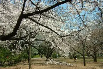 Inagi City Central Park