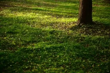 Sakuragaoka Park