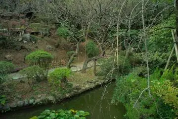 Mogusaen Garden