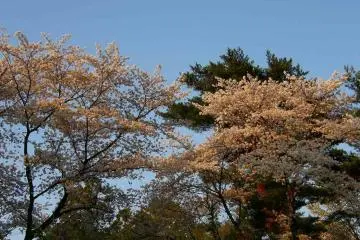 Tamakyuryo Natural Park