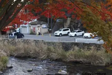 Even after the sun had left the valley, the momijis still dazzle the eyes