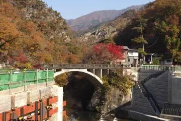 The momiji by the Nagatoro-bashi, the entrance to the gorge