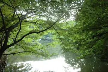 Yakushi-ike Park