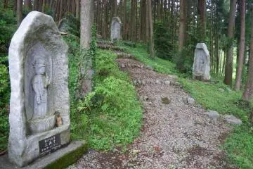 Yokosawa-iri