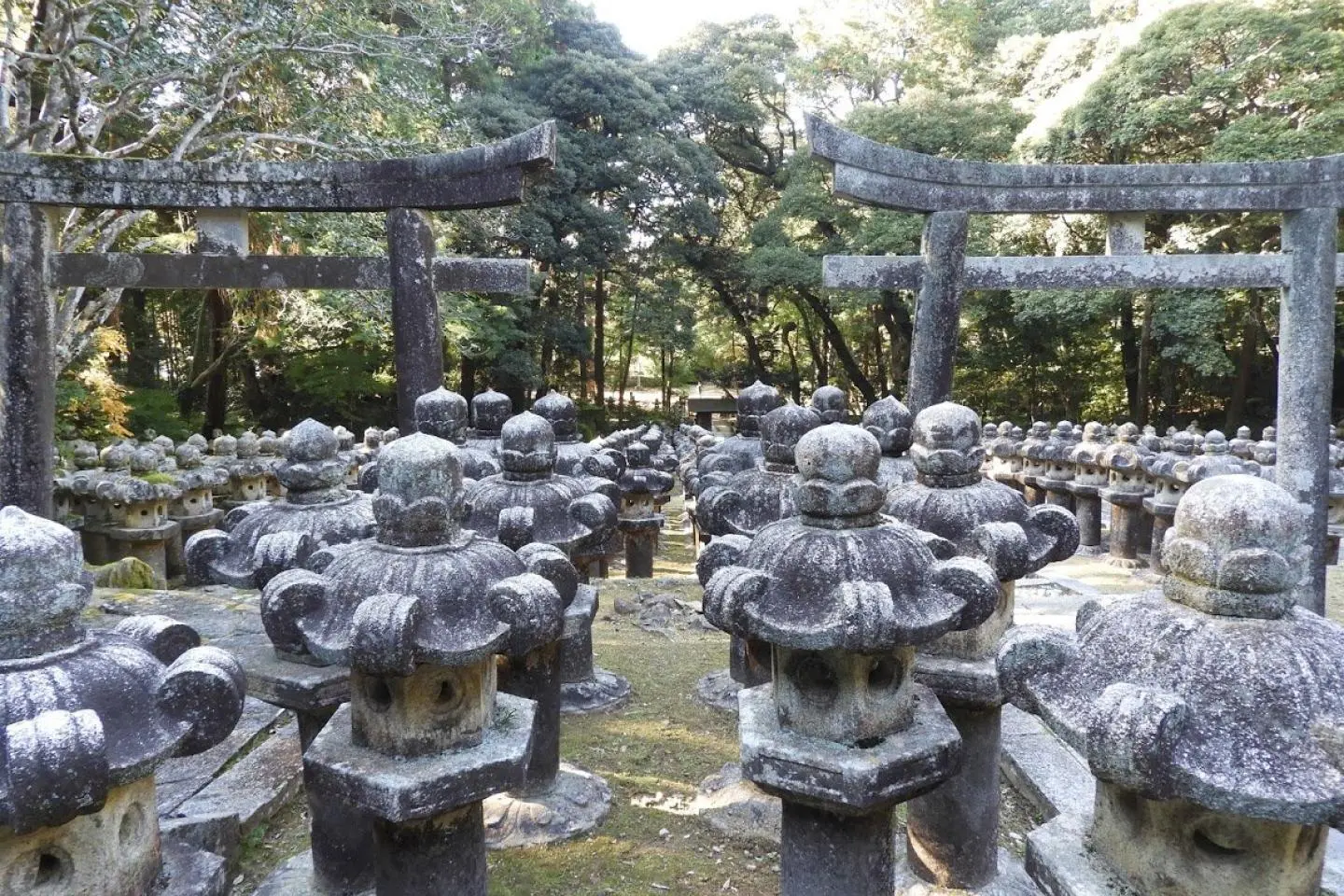 Lanterns at Tokoji (照片由: Sarah Nishina | JT)