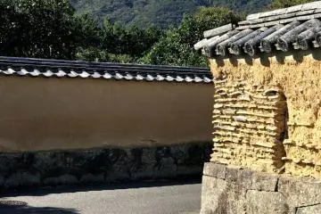 Kai Magari  