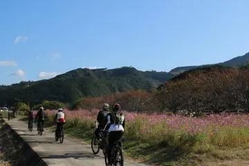 Ichi-no-se District in Kamitonda Town