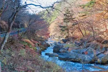 Arakawa River