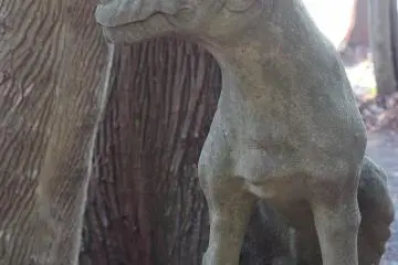 Another attraction of the shrine is the wolf "komainu" guardians. Komainu are usually a type of lion dog, but at Hodosan shrine they are wolves. 