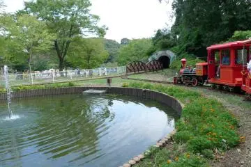 Swan pond and little red train. Choo-choo!