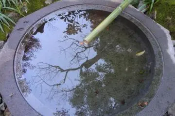 Well reflecting the beauty of the garden.