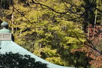 The buildings in Tokei-ji temple are simple but charming.