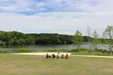 The village is set around Miyazawa lake. All the shops and restaurants have a view of the lake. You can enjoy the view from the green area in front of the lake too. There are some seats that people can use for free. 