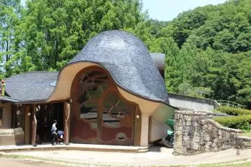 Gallery image