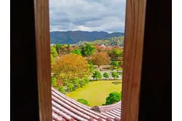 View from third floor of castle