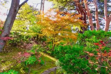 Oyakuen Garden pathway