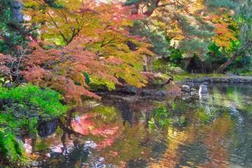 Oyakuen Garden reflections