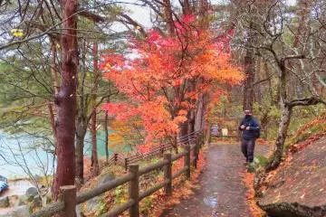 Beginning of pond trail