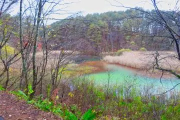 Midoronuma Pond