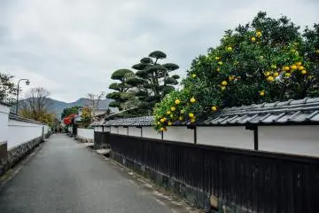 Jokamachi (Photo: Raphael | JapanTravel)